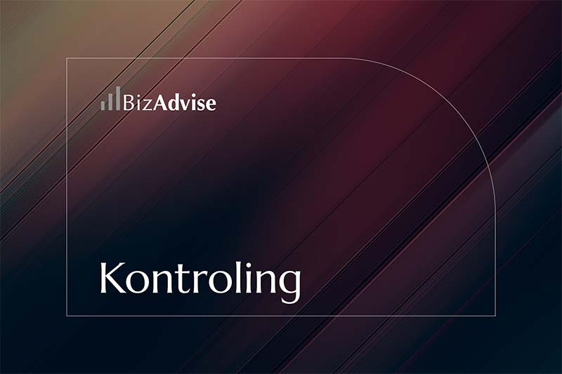 Kontroling - BizAdvise